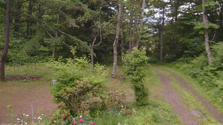 長野県菅平高原 ゆたか山荘 坂上 2026/06/20 12:30