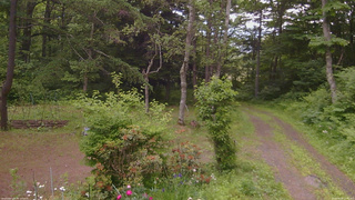 長野県菅平高原 ゆたか山荘 坂上 2026/06/20 12:45