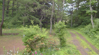 長野県菅平高原 ゆたか山荘 坂上 2026/06/20 13:00