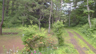 長野県菅平高原 ゆたか山荘 坂上 2026/06/20 13:15