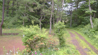長野県菅平高原 ゆたか山荘 坂上 2026/06/20 13:30