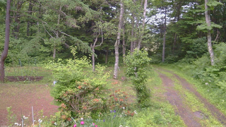 長野県菅平高原 ゆたか山荘 坂上 2026/06/20 13:45