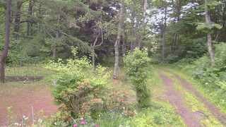 長野県菅平高原 ゆたか山荘 坂上 2026/06/20 14:00