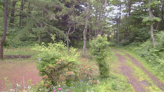 長野県菅平高原 ゆたか山荘 坂上 2026/06/20 14:15