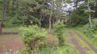 長野県菅平高原 ゆたか山荘 坂上 2026/06/20 14:30