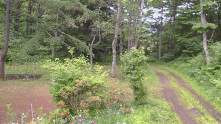 長野県菅平高原 ゆたか山荘 坂上 2026/06/20 15:00
