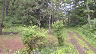 長野県菅平高原 ゆたか山荘 坂上 2026/06/20 15:15