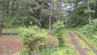長野県菅平高原 ゆたか山荘 坂上 2026/06/20 15:30