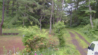 長野県菅平高原 ゆたか山荘 坂上 2026/06/20 15:45