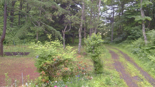 長野県菅平高原 ゆたか山荘 坂上 2026/06/20 16:00