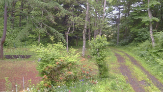 長野県菅平高原 ゆたか山荘 坂上 2026/06/20 16:15