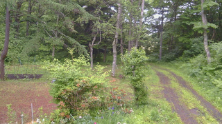 長野県菅平高原 ゆたか山荘 坂上 2026/06/20 16:30