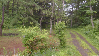 長野県菅平高原 ゆたか山荘 坂上 2026/06/20 17:00