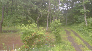 長野県菅平高原 ゆたか山荘 坂上 2026/06/20 17:15