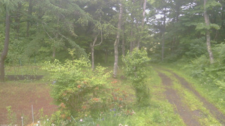 長野県菅平高原 ゆたか山荘 坂上 2026/06/20 17:30