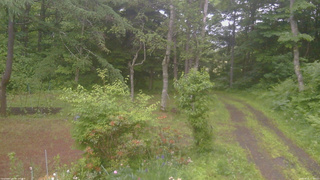 長野県菅平高原 ゆたか山荘 坂上 2026/06/20 17:45