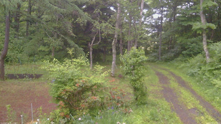 長野県菅平高原 ゆたか山荘 坂上 2026/06/20 18:15