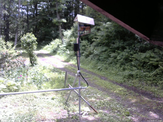 長野県菅平高原 ゆたか山荘 南側 2026/06/21 11:15