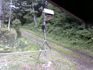 長野県菅平高原 ゆたか山荘 南側 2026/06/21 15:00
