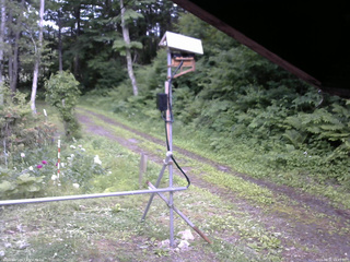 長野県菅平高原 ゆたか山荘 南側 2026/06/21 15:45