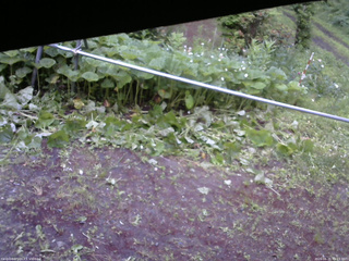 長野県菅平高原 ゆたか山荘 駐車場 2026/06/21 05:15