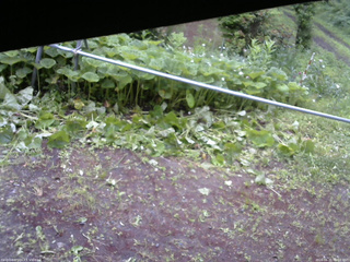 長野県菅平高原 ゆたか山荘 駐車場 2026/06/21 06:00