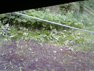 長野県菅平高原 ゆたか山荘 駐車場 2026/06/21 06:15