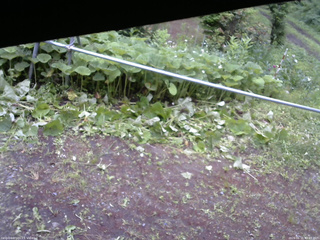 長野県菅平高原 ゆたか山荘 駐車場 2026/06/21 07:45