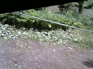 長野県菅平高原 ゆたか山荘 駐車場 2026/06/21 11:15