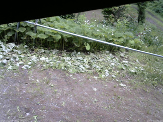 長野県菅平高原 ゆたか山荘 駐車場 2026/06/21 11:30