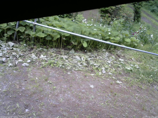 長野県菅平高原 ゆたか山荘 駐車場 2026/06/21 14:15