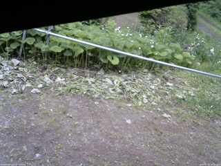 長野県菅平高原 ゆたか山荘 駐車場 2026/06/21 14:30