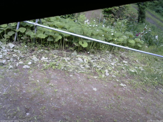 長野県菅平高原 ゆたか山荘 駐車場 2026/06/21 15:00