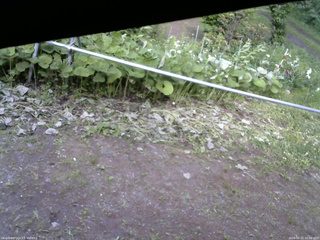長野県菅平高原 ゆたか山荘 駐車場 2026/06/21 16:00