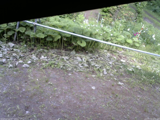 長野県菅平高原 ゆたか山荘 駐車場 2026/06/21 16:15