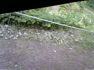 長野県菅平高原 ゆたか山荘 駐車場 2026/06/21 16:45