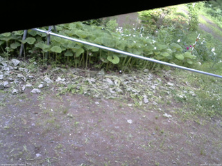 長野県菅平高原 ゆたか山荘 駐車場 2026/06/21 17:15