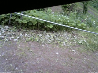 長野県菅平高原 ゆたか山荘 駐車場 2026/06/21 18:15