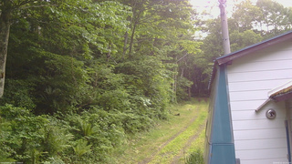 長野県菅平高原 ゆたか山荘 ゆたか山荘 2026/06/21 16:15