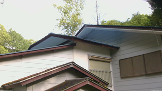 長野県菅平高原 ゆたか山荘 駐車場奥 2026/06/21 06:45
