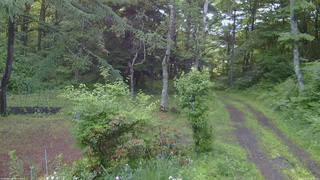 長野県菅平高原 ゆたか山荘 坂上 2026/06/21 05:00