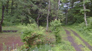 長野県菅平高原 ゆたか山荘 坂上 2026/06/21 05:45