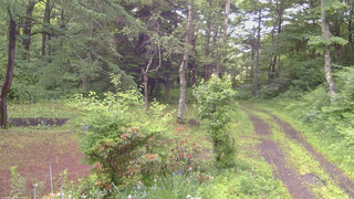 長野県菅平高原 ゆたか山荘 坂上 2026/06/21 06:00