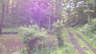長野県菅平高原 ゆたか山荘 坂上 2026/06/21 06:45