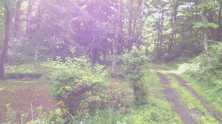 長野県菅平高原 ゆたか山荘 坂上 2026/06/21 07:00