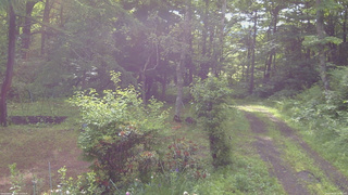 長野県菅平高原 ゆたか山荘 坂上 2026/06/21 07:30