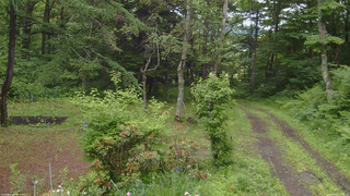 長野県菅平高原 ゆたか山荘 坂上 2026/06/21 07:45