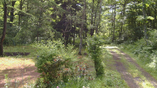 長野県菅平高原 ゆたか山荘 坂上 2026/06/21 08:15
