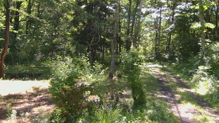 長野県菅平高原 ゆたか山荘 坂上 2026/06/21 08:30