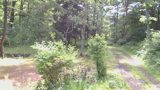 長野県菅平高原 ゆたか山荘 坂上 2026/06/21 09:00